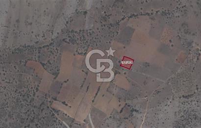 Acıpayam Akalan Mh. 1.216 M² Satılık Tarla-Bağ