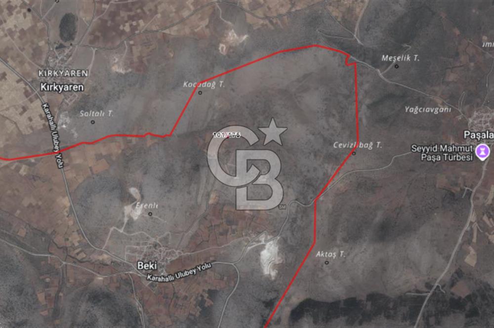 Acıpayam Akalan Mh. 1.216 M² Satılık Tarla-Bağ