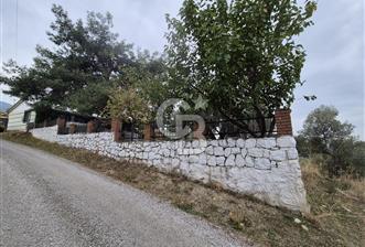 Kemalpaşa Armutlu'da İçinde Numaratajlı Evi Olan 3.3 Dönüm - 1 - 312421