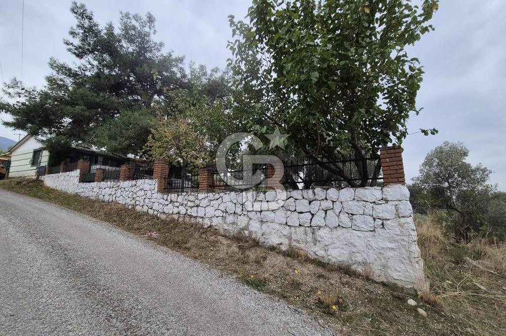 Kemalpaşa Armutlu'da İçinde Numaratajlı Evi Olan 3.3 Dönüm