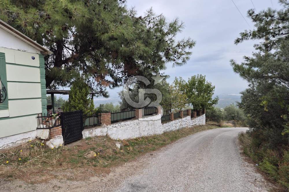 Kemalpaşa Armutlu'da İçinde Numaratajlı Evi Olan 3.3 Dönüm