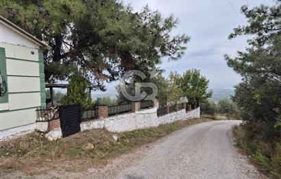 Kemalpaşa Armutlu'da İçinde Numaratajlı Evi Olan 3.3 Dönüm