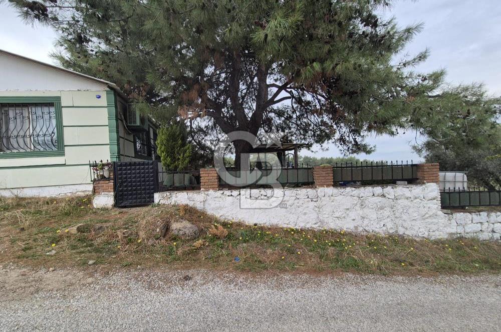 Kemalpaşa Armutlu'da İçinde Numaratajlı Evi Olan 3.3 Dönüm