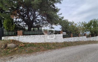 Kemalpaşa Armutlu'da İçinde Numaratajlı Evi Olan 3.3 Dönüm