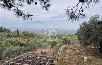 Kemalpaşa Armutlu'da İçinde Numaratajlı Evi Olan 3.3 Dönüm