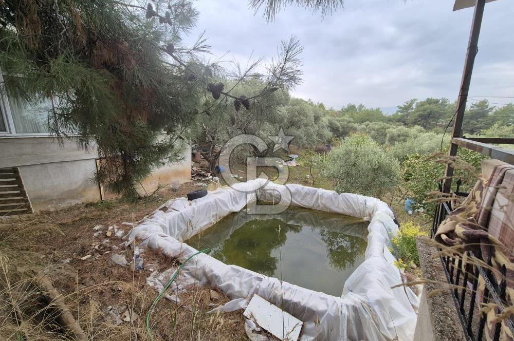 Kemalpaşa Armutlu'da İçinde Numaratajlı Evi Olan 3.3 Dönüm