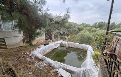 Kemalpaşa Armutlu'da İçinde Numaratajlı Evi Olan 3.3 Dönüm