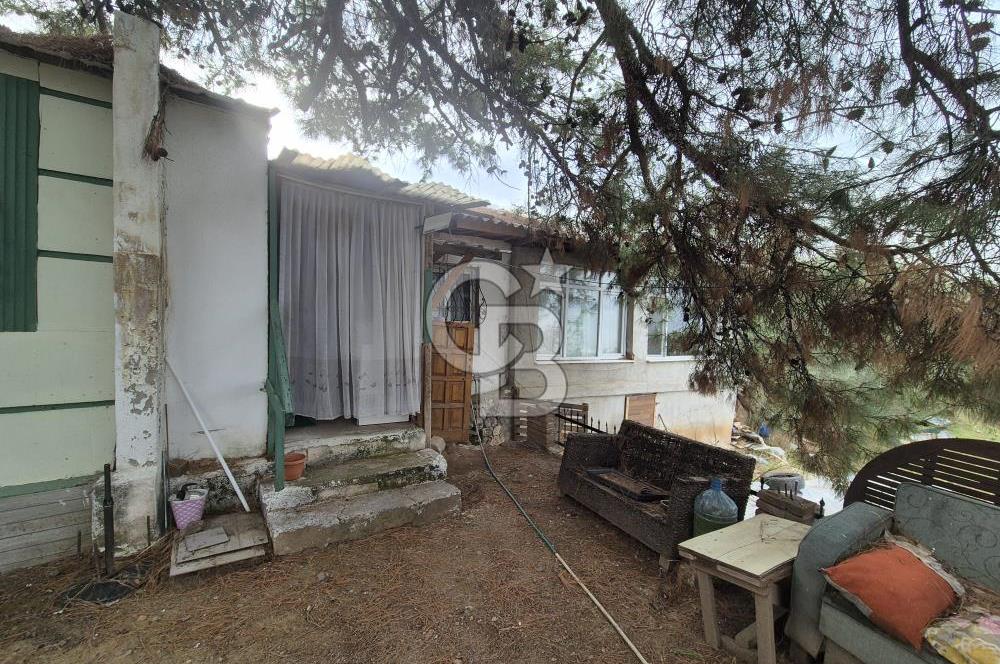 Kemalpaşa Armutlu'da İçinde Numaratajlı Evi Olan 3.3 Dönüm