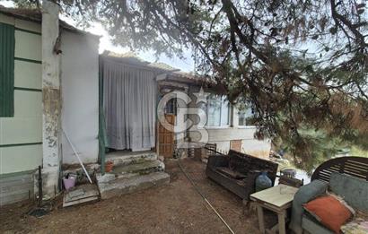 Kemalpaşa Armutlu'da İçinde Numaratajlı Evi Olan 3.3 Dönüm