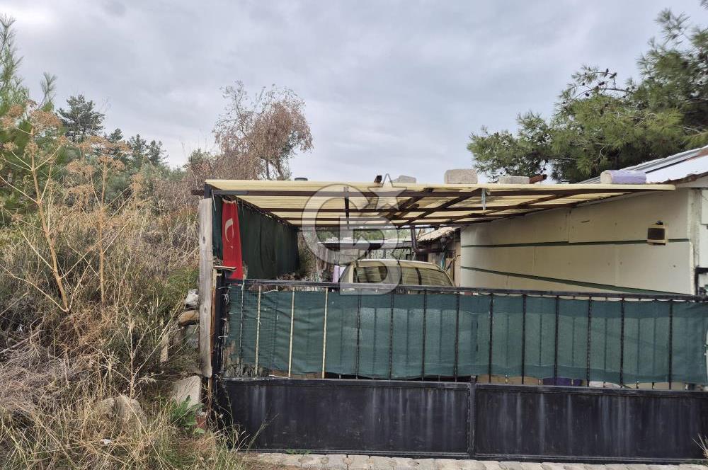 Kemalpaşa Armutlu'da İçinde Numaratajlı Evi Olan 3.3 Dönüm