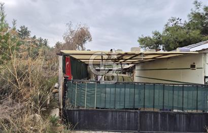 Kemalpaşa Armutlu'da İçinde Numaratajlı Evi Olan 3.3 Dönüm