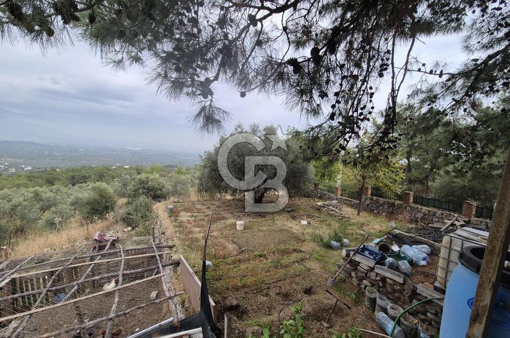 Kemalpaşa Armutlu'da İçinde Numaratajlı Evi Olan 3.3 Dönüm