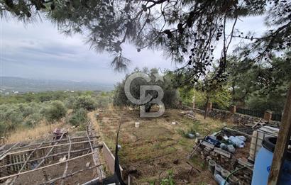 Kemalpaşa Armutlu'da İçinde Numaratajlı Evi Olan 3.3 Dönüm