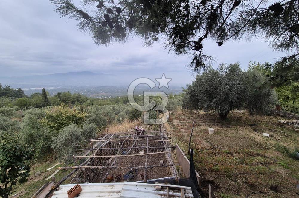 Kemalpaşa Armutlu'da İçinde Numaratajlı Evi Olan 3.3 Dönüm