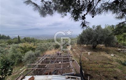 Kemalpaşa Armutlu'da İçinde Numaratajlı Evi Olan 3.3 Dönüm