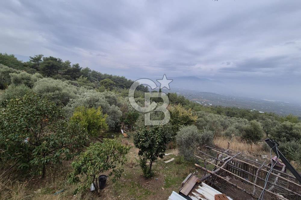 Kemalpaşa Armutlu'da İçinde Numaratajlı Evi Olan 3.3 Dönüm