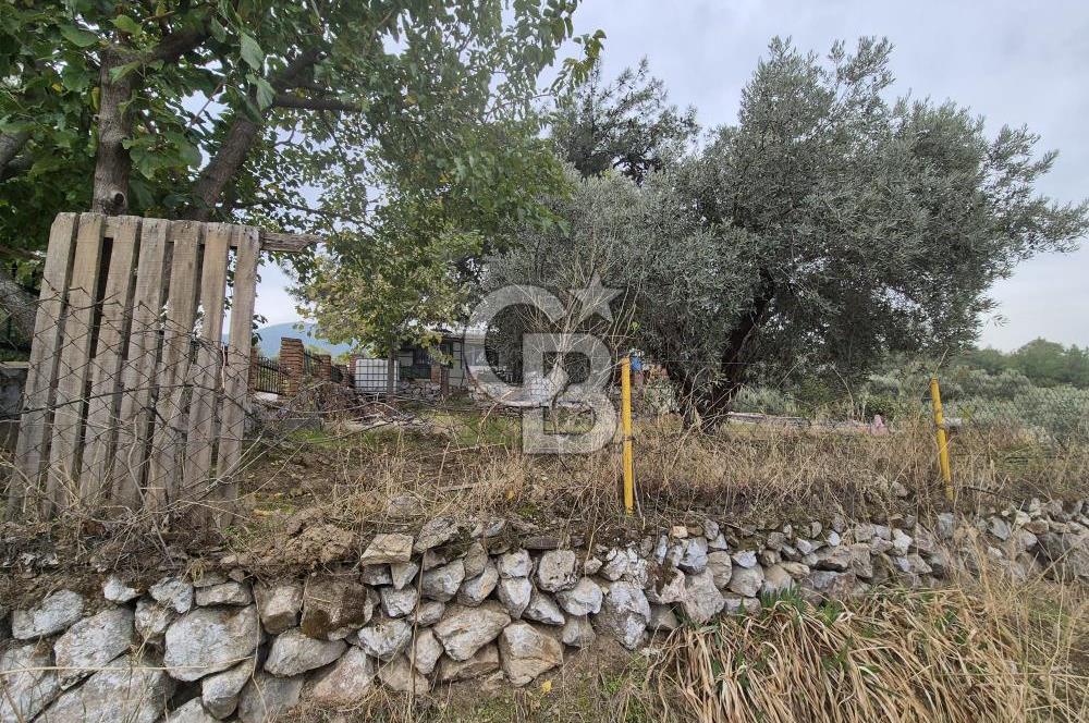 Kemalpaşa Armutlu'da İçinde Numaratajlı Evi Olan 3.3 Dönüm