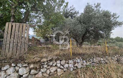 Kemalpaşa Armutlu'da İçinde Numaratajlı Evi Olan 3.3 Dönüm