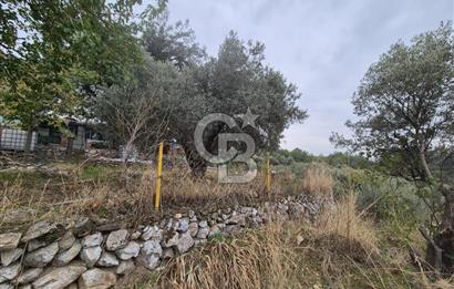 Kemalpaşa Armutlu'da İçinde Numaratajlı Evi Olan 3.3 Dönüm