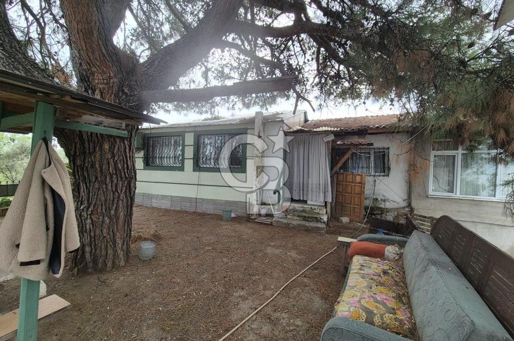 Kemalpaşa Armutlu'da İçinde Numaratajlı Evi Olan 3.3 Dönüm