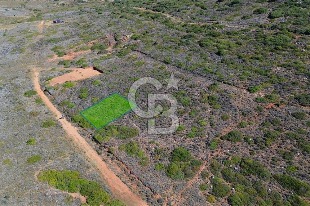 ÇANAKKALE BOZCAADA`DA DOĞAYLA İÇ İÇE 318 m² SATILIK ARSA