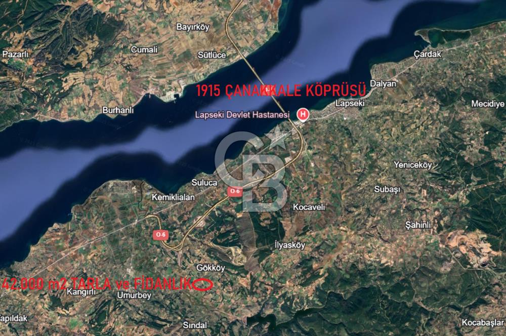 ÇANAKKALE GÖKKÖY'DE 42 DÖNÜM SULU ÖZEL ÜRÜN SINIFINDA EMSALSİZ TARLA 