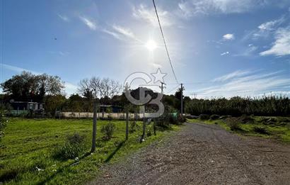 Doğa İle İç İçe Menderes Dereköy'de Fırsat