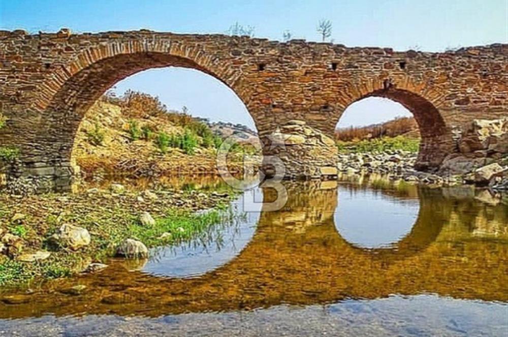 AYDIN ÇİNE'DE YOLA CEPHE 5512M2 SATILIK ZEYTİNLİK