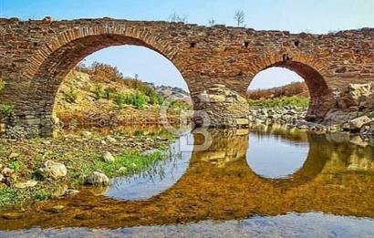 AYDIN ÇİNE'DE YOLA CEPHE 5512M2 SATILIK ZEYTİNLİK