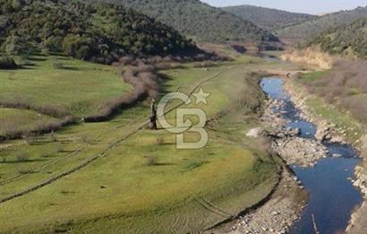 AYDIN ÇİNE'DE YOLA CEPHE 5512M2 SATILIK ZEYTİNLİK