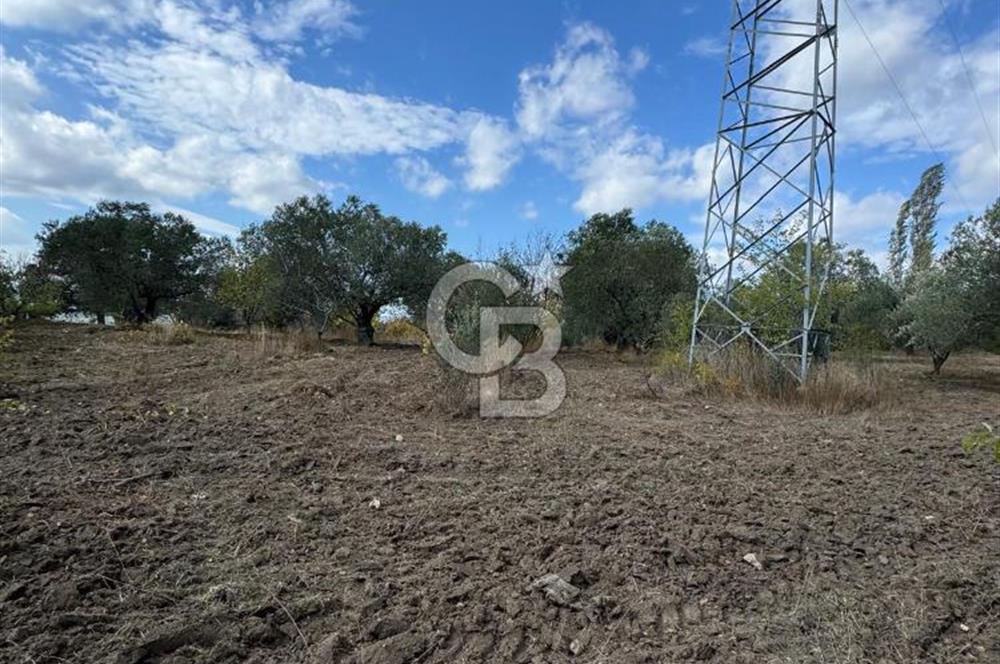 ÇANAKKALE GÖKKÖY'DE 42 DÖNÜM SULU ÖZEL ÜRÜN SINIFINDA EMSALSİZ TARLA 