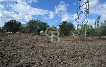 ÇANAKKALE GÖKKÖY'DE 42 DÖNÜM SULU ÖZEL ÜRÜN SINIFINDA EMSALSİZ TARLA 