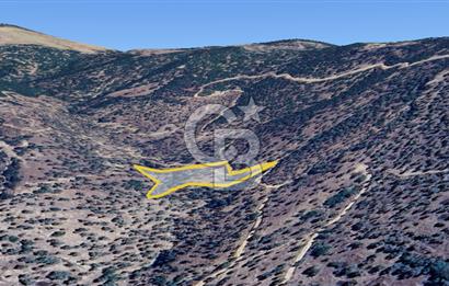 AYDIN ÇİNE'DE YOLA CEPHE 2557M2 SATILIK ZEYTİNLİK