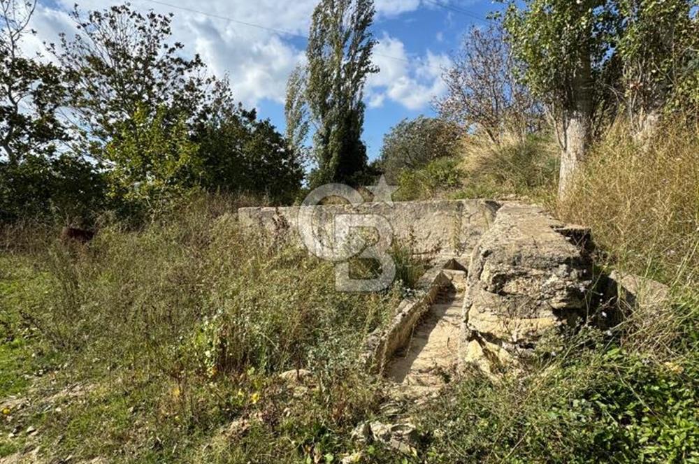 ÇANAKKALE GÖKKÖY'DE 42 DÖNÜM SULU ÖZEL ÜRÜN SINIFINDA EMSALSİZ TARLA 