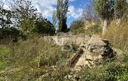 ÇANAKKALE GÖKKÖY'DE 42 DÖNÜM SULU ÖZEL ÜRÜN SINIFINDA EMSALSİZ TARLA 