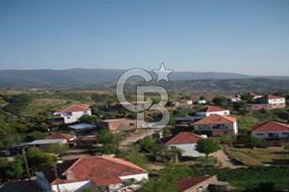 AYDIN ÇİNE'DE YOLA CEPHE 2557M2 SATILIK ZEYTİNLİK