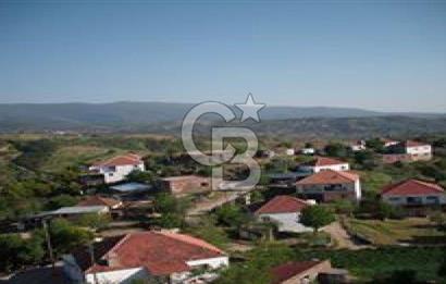 AYDIN ÇİNE'DE YOLA CEPHE 2557M2 SATILIK ZEYTİNLİK