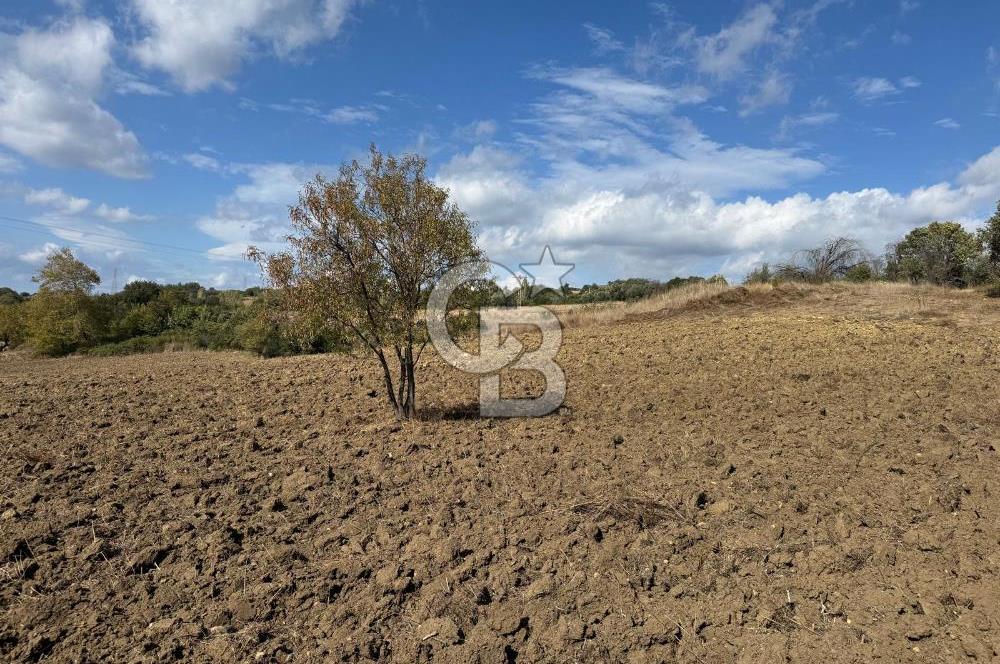 ÇANAKKALE GÖKKÖY'DE 42 DÖNÜM SULU ÖZEL ÜRÜN SINIFINDA EMSALSİZ TARLA 