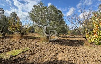 ÇANAKKALE GÖKKÖY'DE 42 DÖNÜM SULU ÖZEL ÜRÜN SINIFINDA EMSALSİZ TARLA 