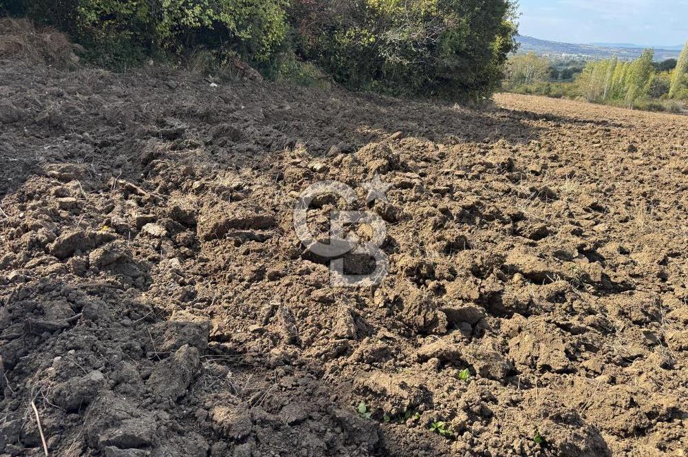 ÇANAKKALE GÖKKÖY'DE 42 DÖNÜM SULU ÖZEL ÜRÜN SINIFINDA EMSALSİZ TARLA 