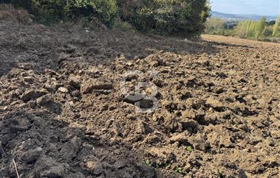 ÇANAKKALE GÖKKÖY'DE 42 DÖNÜM SULU ÖZEL ÜRÜN SINIFINDA EMSALSİZ TARLA 