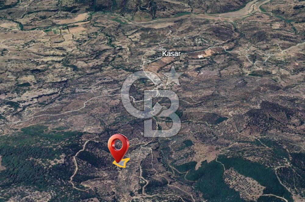 AYDIN ÇİNE'DE YOLA CEPHE 2557M2 SATILIK ZEYTİNLİK