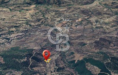 AYDIN ÇİNE'DE YOLA CEPHE 2557M2 SATILIK ZEYTİNLİK