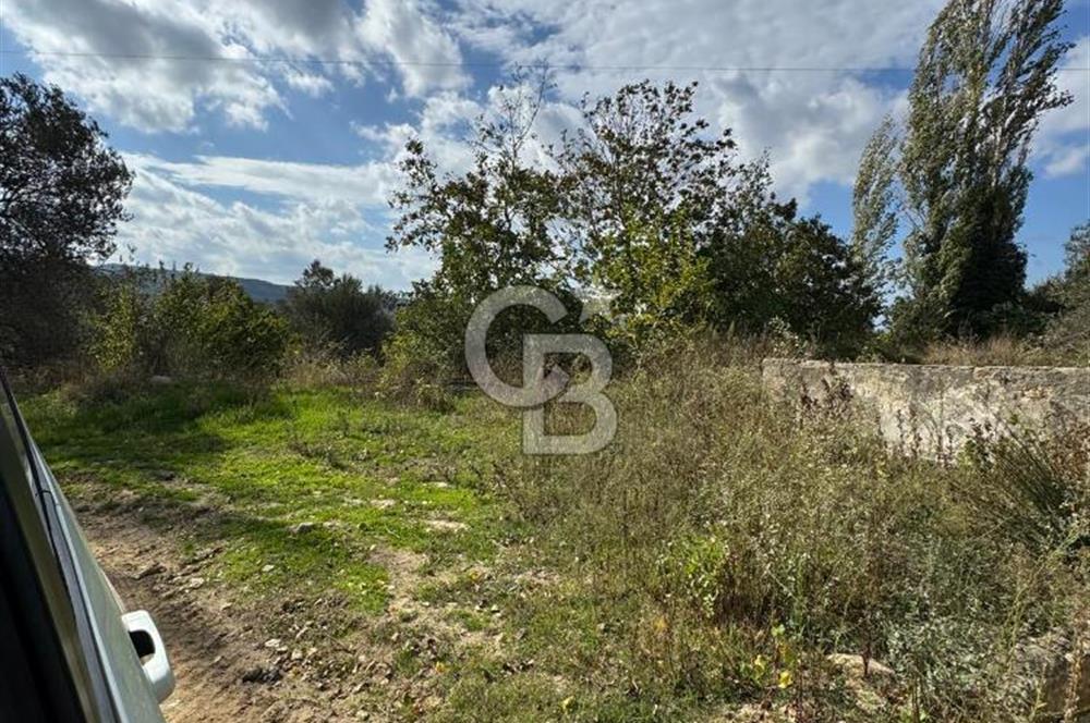 ÇANAKKALE GÖKKÖY'DE 42 DÖNÜM SULU ÖZEL ÜRÜN SINIFINDA EMSALSİZ TARLA 