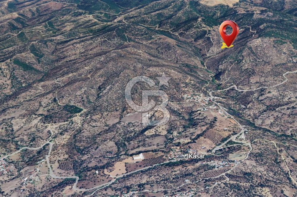 AYDIN ÇİNE'DE YOLA CEPHE 2557M2 SATILIK ZEYTİNLİK