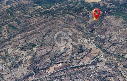 AYDIN ÇİNE'DE YOLA CEPHE 2557M2 SATILIK ZEYTİNLİK