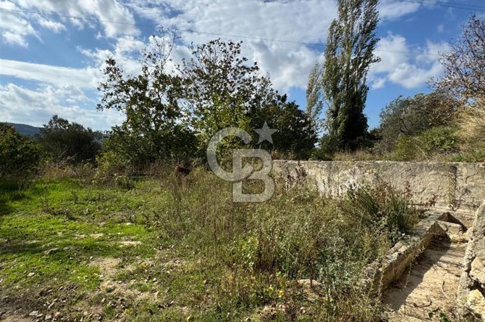 ÇANAKKALE GÖKKÖY'DE 42 DÖNÜM SULU ÖZEL ÜRÜN SINIFINDA EMSALSİZ TARLA 