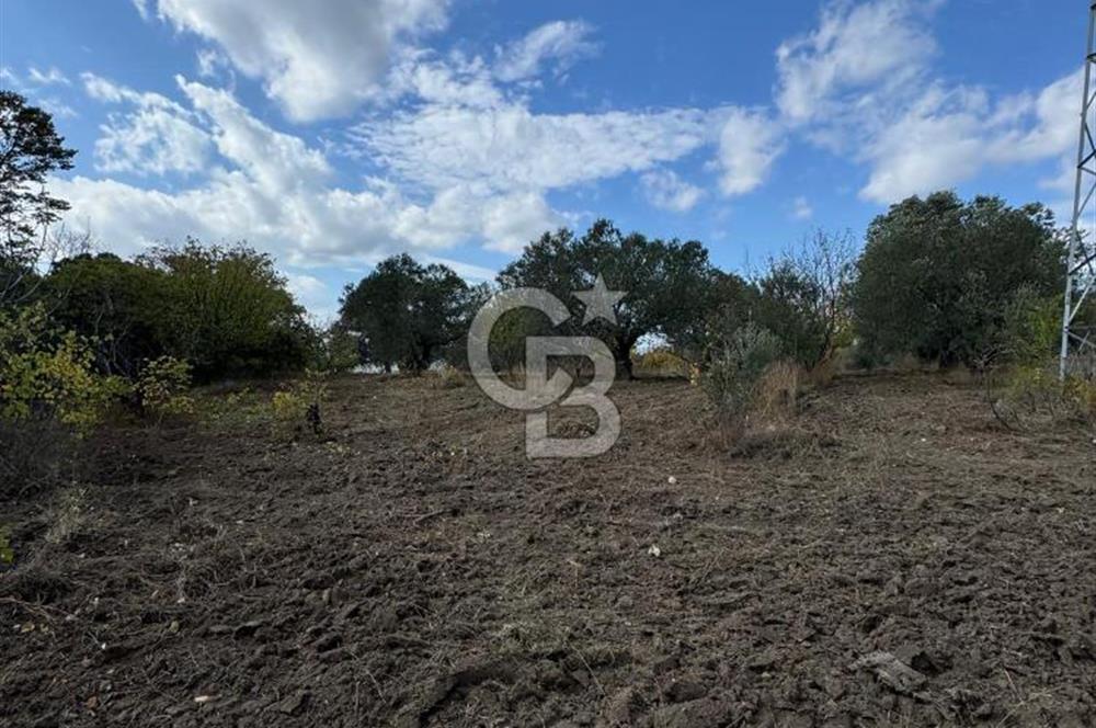 ÇANAKKALE GÖKKÖY'DE 42 DÖNÜM SULU ÖZEL ÜRÜN SINIFINDA EMSALSİZ TARLA 