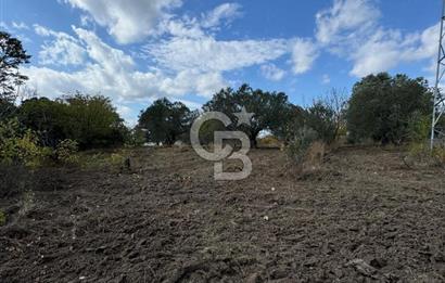 ÇANAKKALE GÖKKÖY'DE 42 DÖNÜM SULU ÖZEL ÜRÜN SINIFINDA EMSALSİZ TARLA 