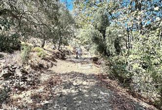 AYDIN ÇİNE'DE YOLA CEPHE 5512M2 SATILIK ZEYTİNLİK - 1 - 312474